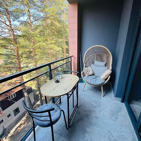 Bojic Zlatibor 公寓 *