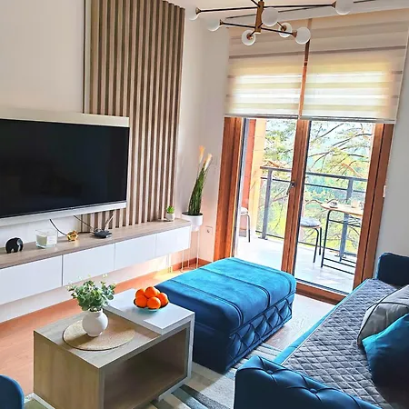 Bojic Zlatibor * Palisat