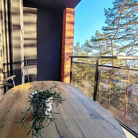 Bojic Zlatibor 公寓 *