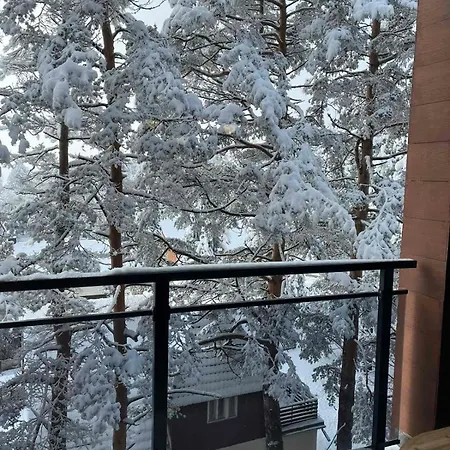 公寓 Bojic Zlatibor Palisat