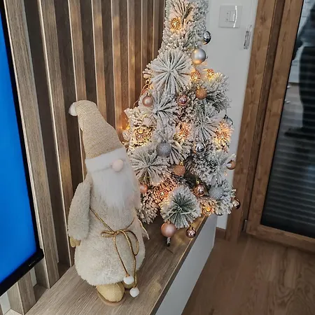 公寓 Bojic Zlatibor Palisat