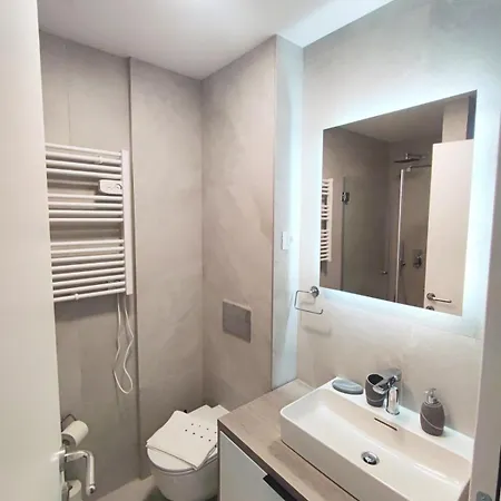 公寓 Bojic Zlatibor Palisat