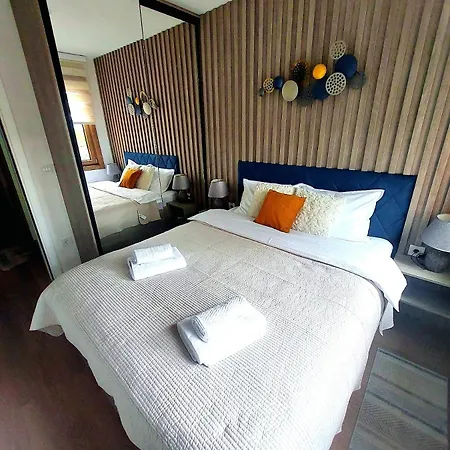 公寓 Bojic Zlatibor Palisat