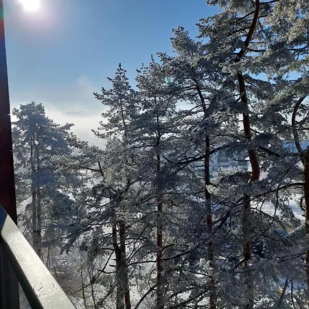 아파트 Bojic Zlatibor *