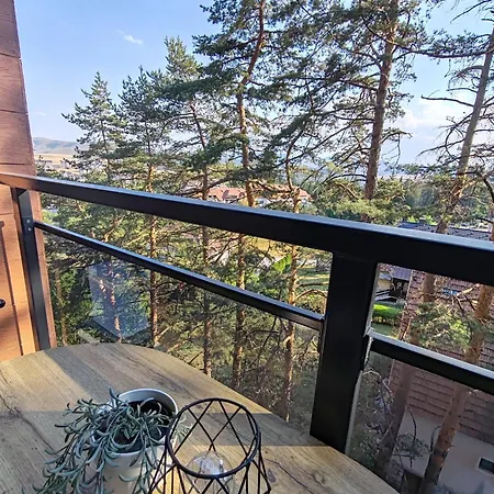 Bojic Zlatibor 아파트 Palisat