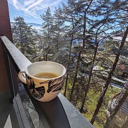 Bojic Zlatibor 아파트