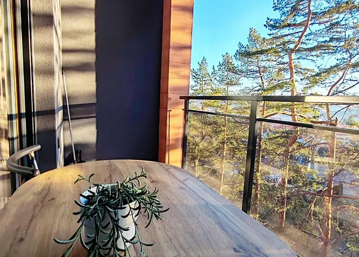 Bojic Zlatibor 아파트 *